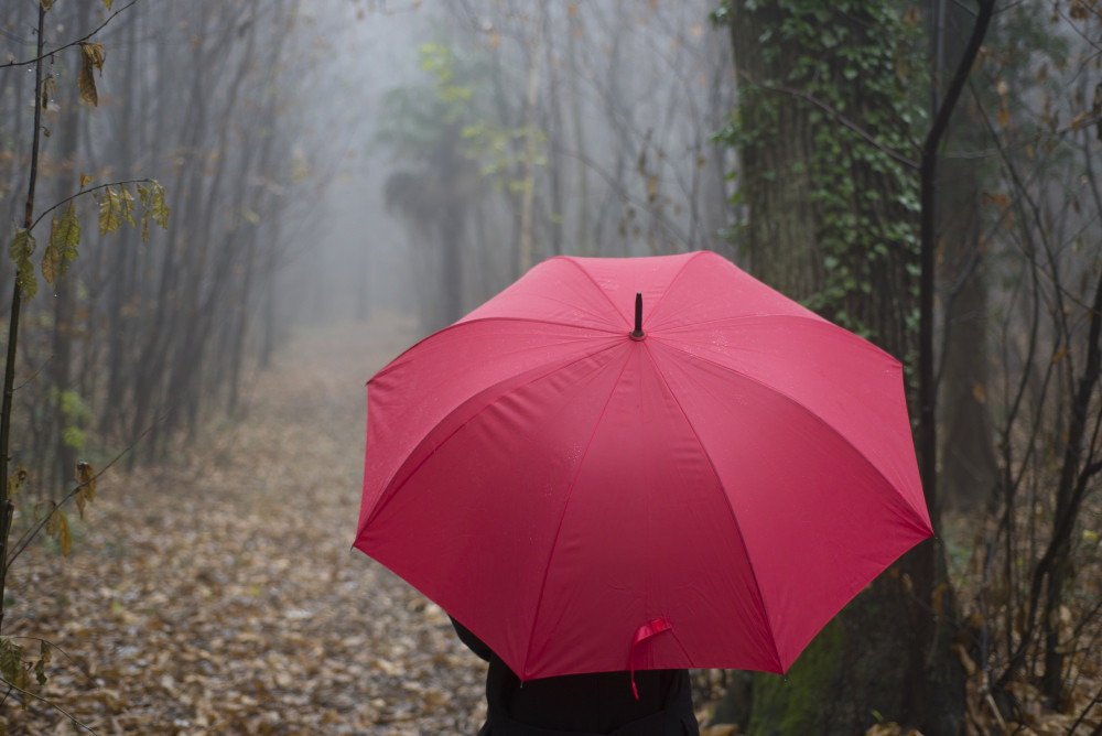 Tips on Choosing the Best Windproof Umbrella