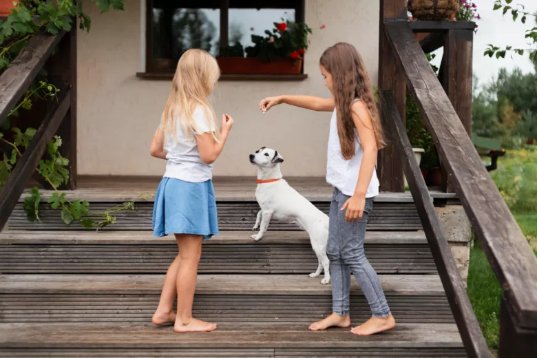 Start your Teen Pet Sitting Business: A Step-by-Step Guide