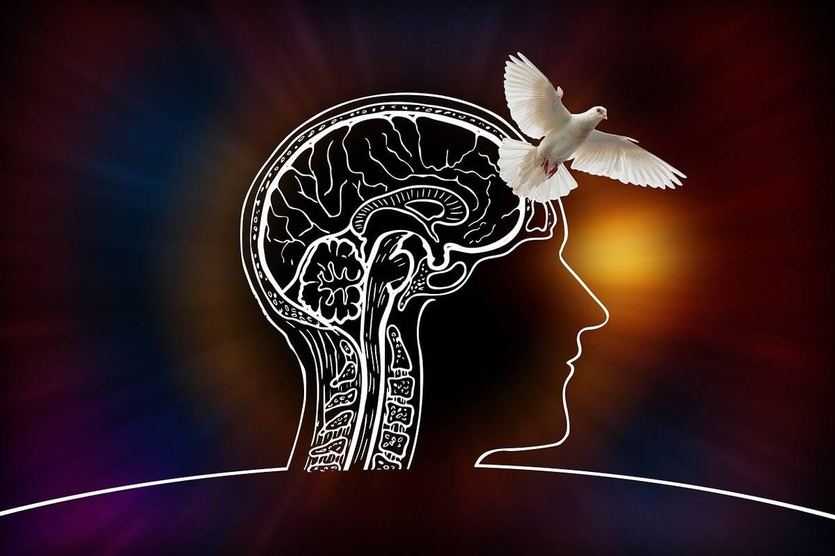 "Aphantasia Test Experience of Not Seeing Images in Your Mind