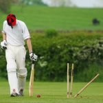 cricket, stumps, ball