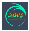 Marvel Web Solutions logo