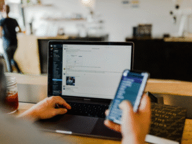 https://unsplash.com/photos/gUIJ0YszPig