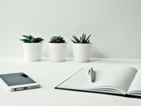 A white desk with a smartphone, an open notebook with a pen placed on top, and three small potted succulents arranged in a row against a light-colored wall. The arrangement appears neat and minimalist.