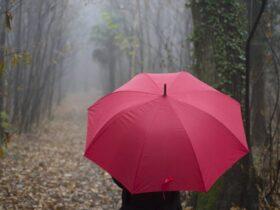 Tips on Choosing the Best Windproof Umbrella