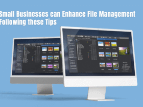Small Businesses Can Enhance File Management Following these Tips