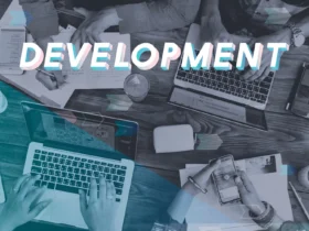The Importance of Web Development