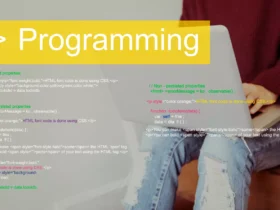 How to Choose the Right Python Development Company?