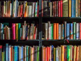 Z-Library has returned with a new domain "Z-Lib.is" in 2023,