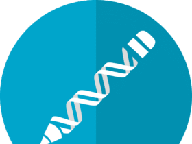 gene editing, crispr, dna editing