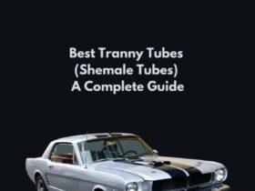 Best Tranny Tubes (Shemale Tubes) – A Complete Guide