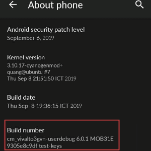 Tap the "Build number" heading seven times – Content write