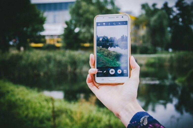 person holding smartphone and capturing trees