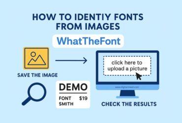 Flat-style digital illustration infographic showing how to identify fonts from images using WhatTheFont; includes computer and phone visuals, minimal text, and modern layout.