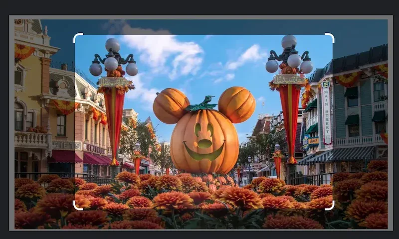 pumpkin image