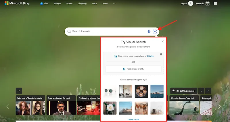 bing visual search