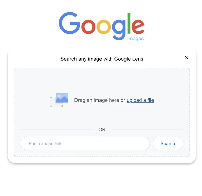 Upload an image to Google Lens.