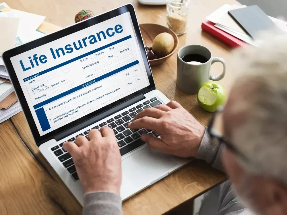 life insurance policy terms of use concept