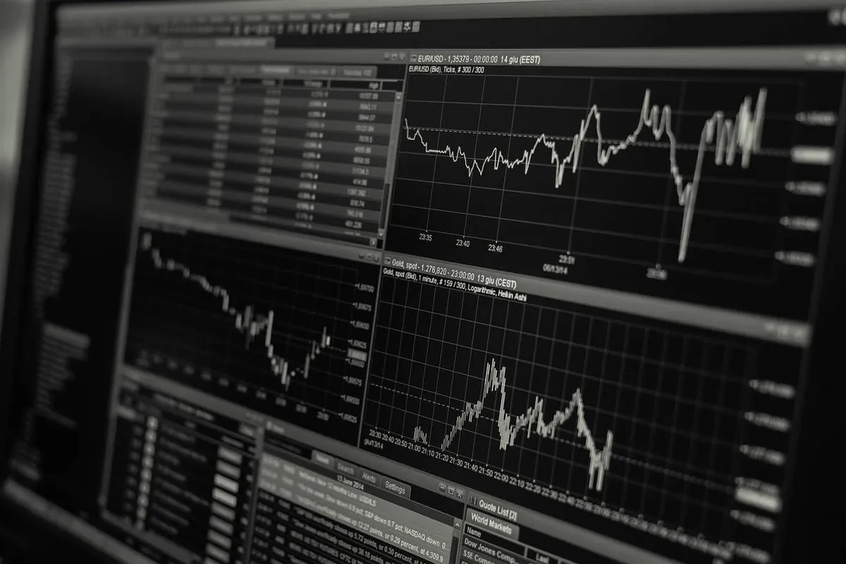 Stonk-O-Tracker AMC: The Power of Retail Investors