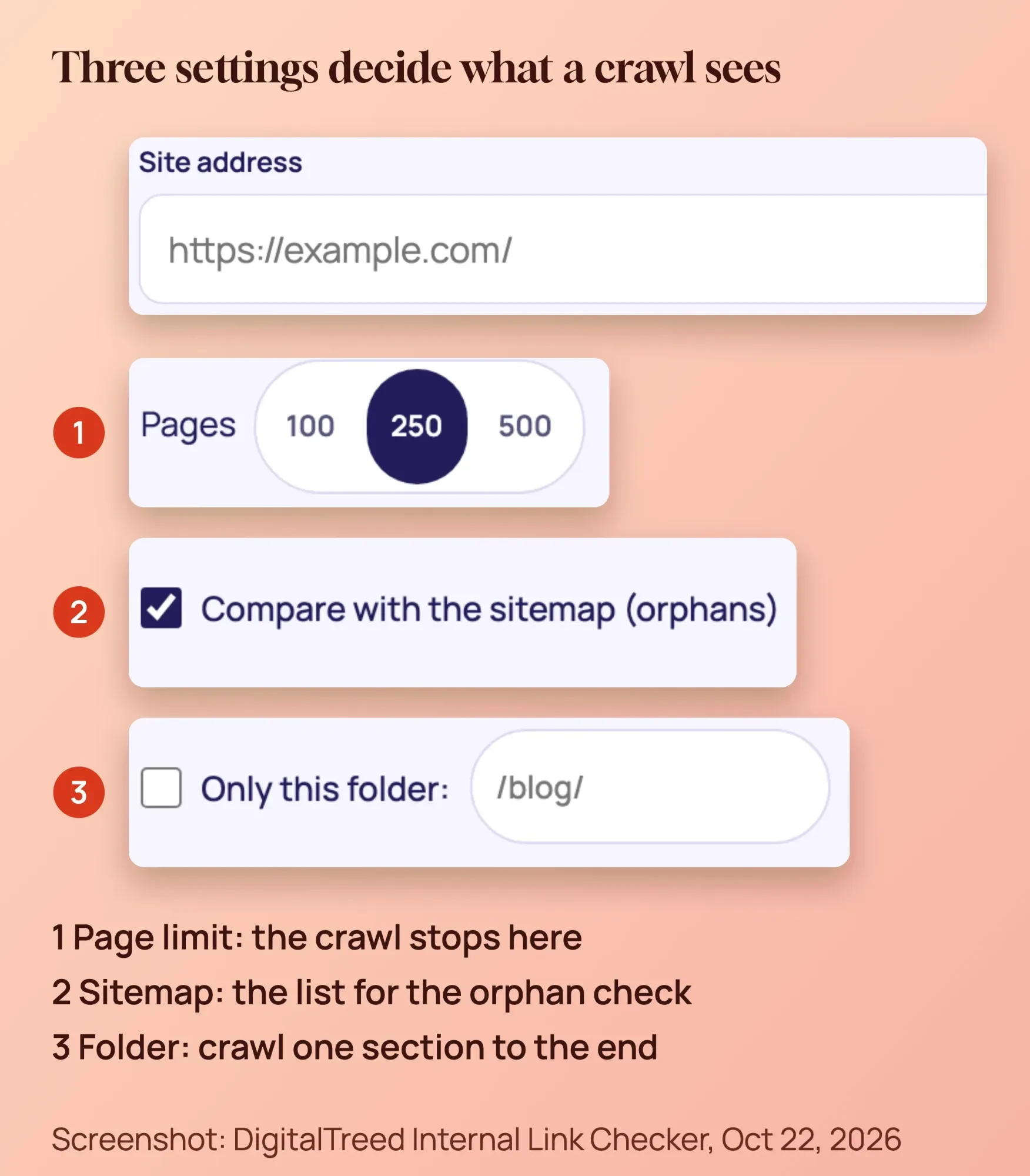 Enlarged screenshot crops of the DigitalTreed Internal Link Checker: the page limit of 100, 250 or 500, the sitemap check and the folder field