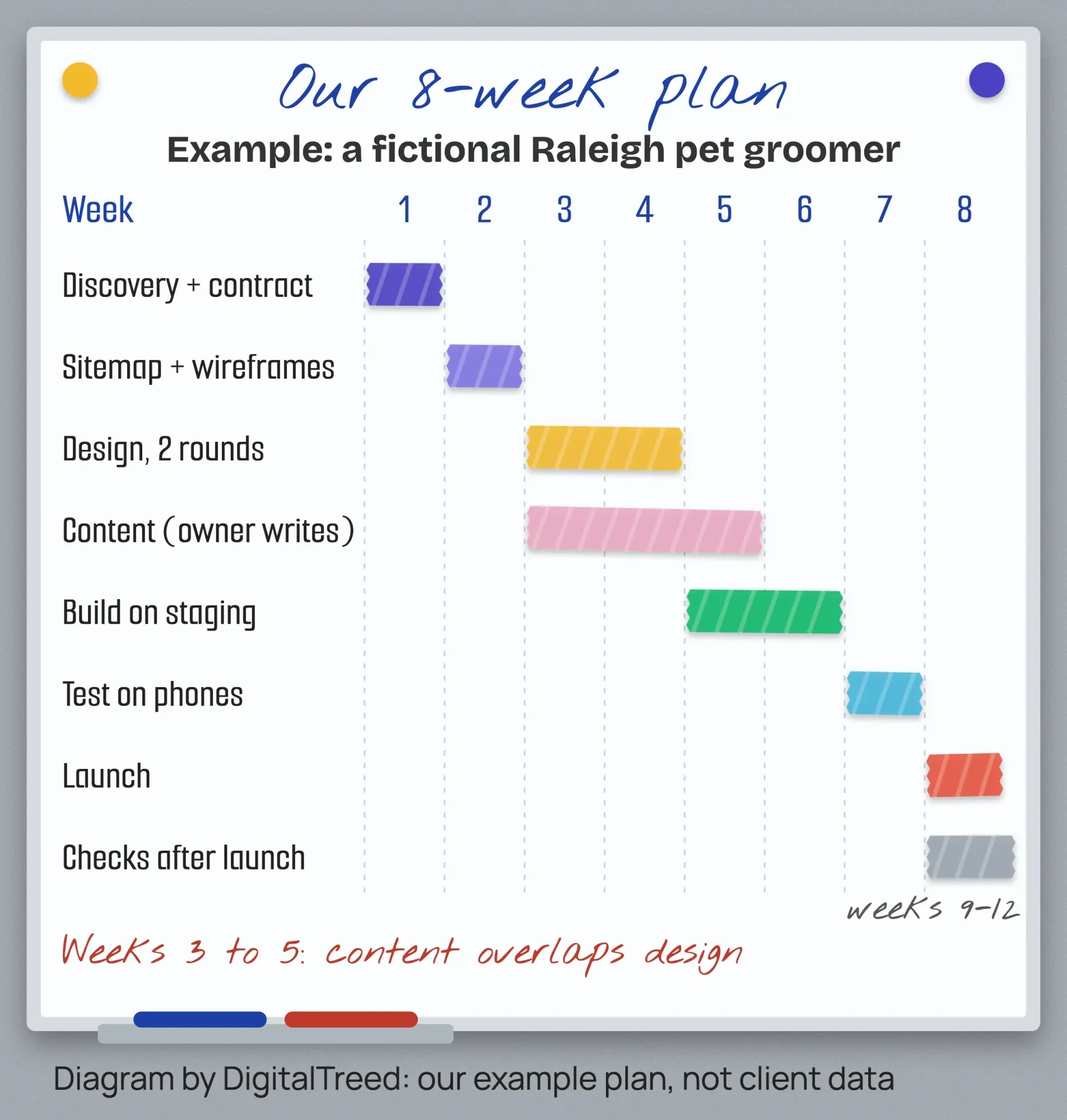 Whiteboard with masking-tape bars showing an 8-week website plan for a fictional Raleigh groomer, design and content overlapping in weeks 3 to 5.