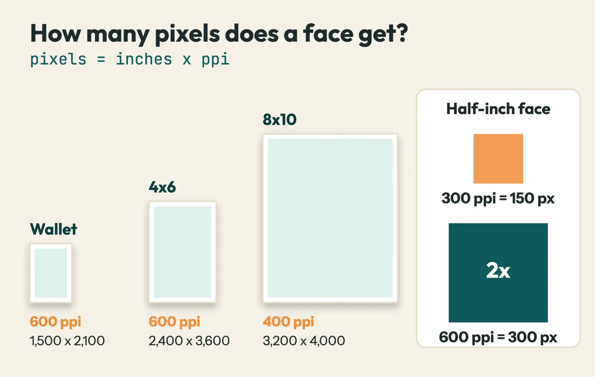 Three print outlines, wallet, 4x6 and 8x10, each marked with its pixel size, and a half-inch face box shown at 150 and 300 pixels
