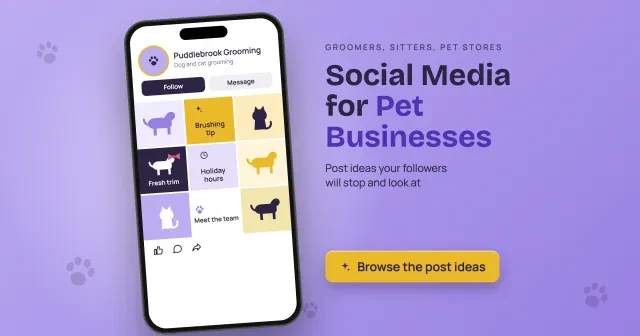 Pet business social media: a phone with a made-up groomer profile showing brushing tip, fresh trim, holiday hours and meet the team tiles, with a Browse the post ideas button