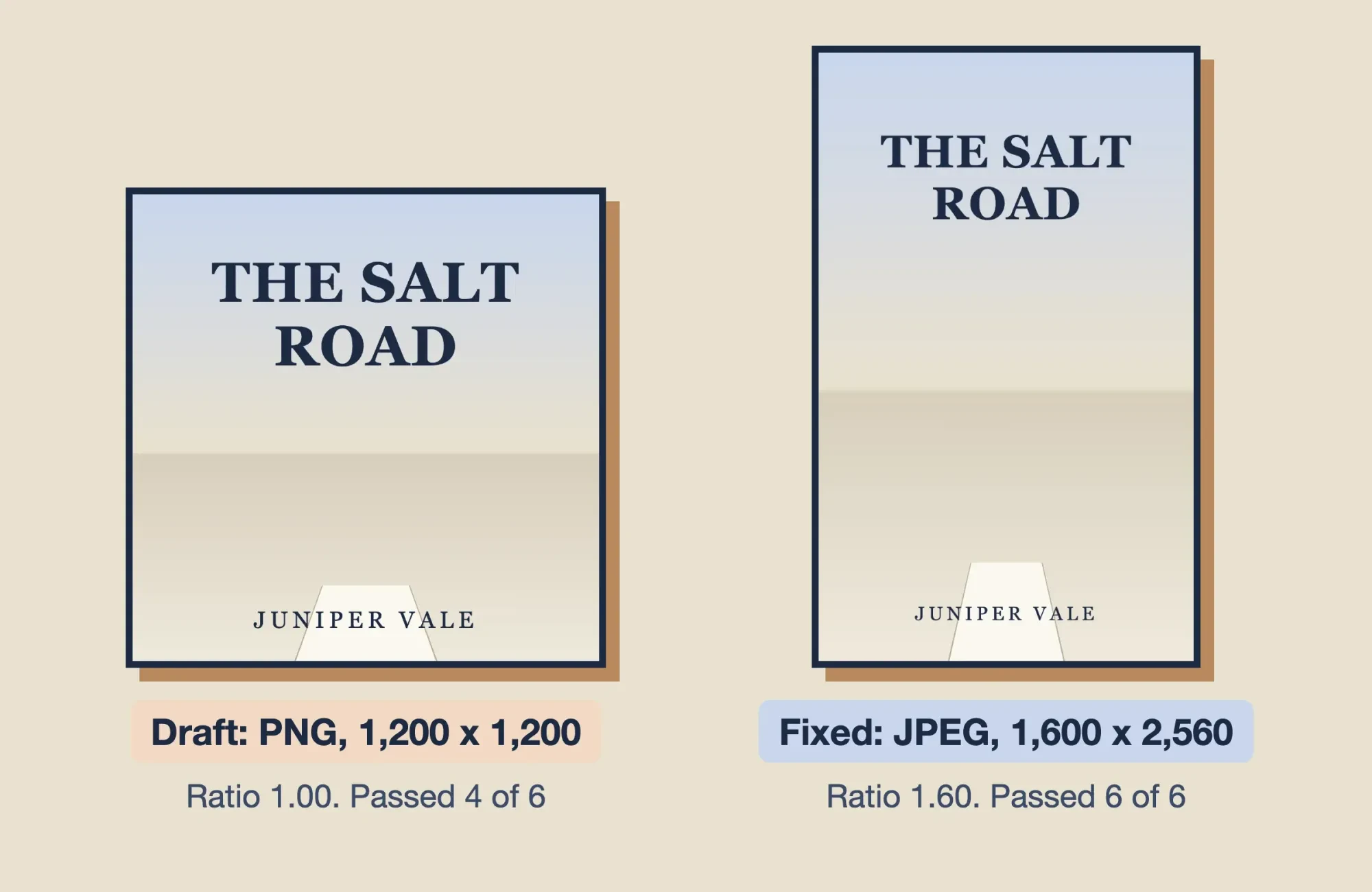 Our two test covers for a made-up story: a square PNG that passed 4 of 6 checks beside a tall 1,600 by 2,560 JPEG that passed 6 of 6