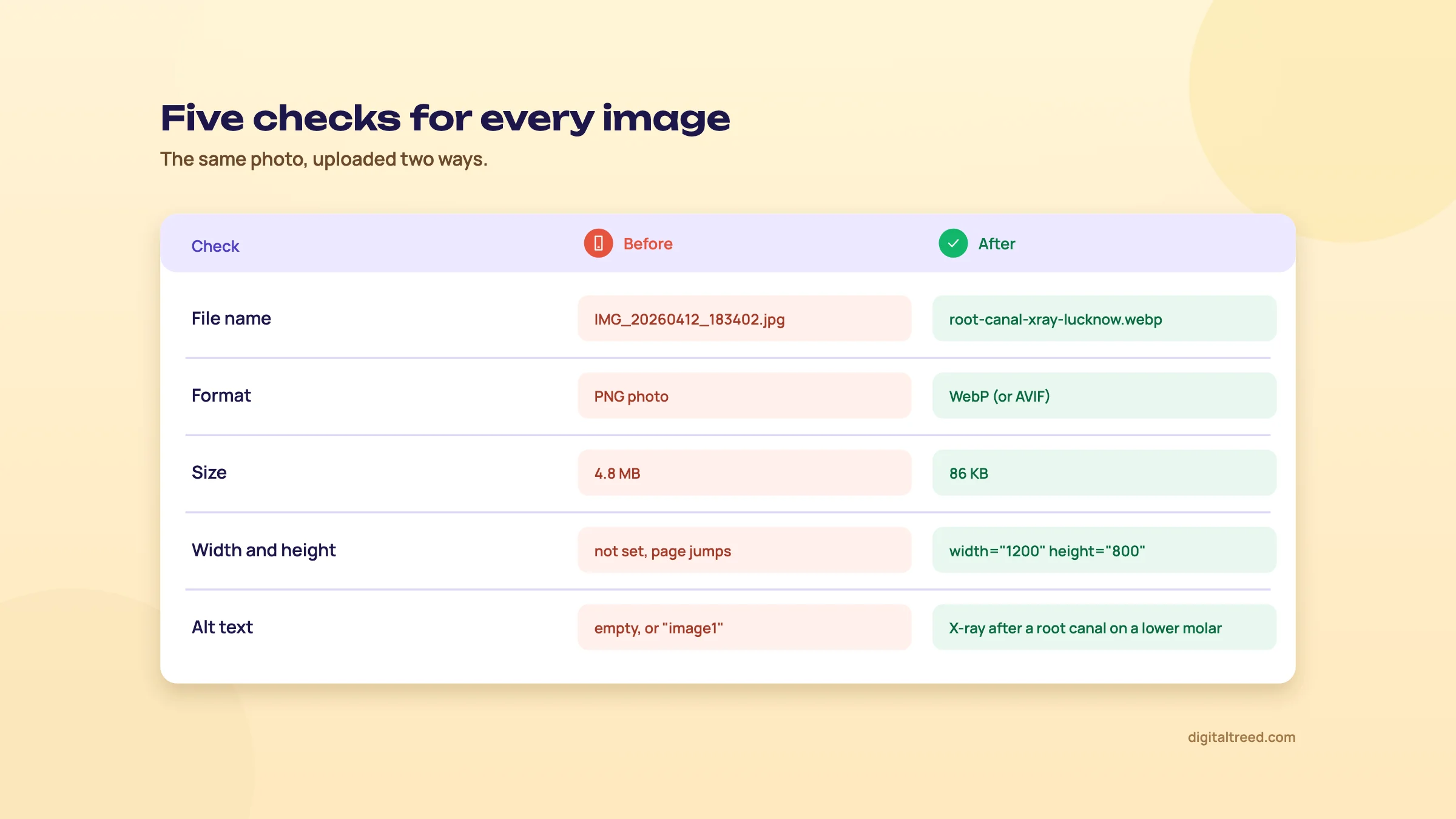 A table of five image checks, file name, format, size, width and height and alt text, with a bad and a good example for each