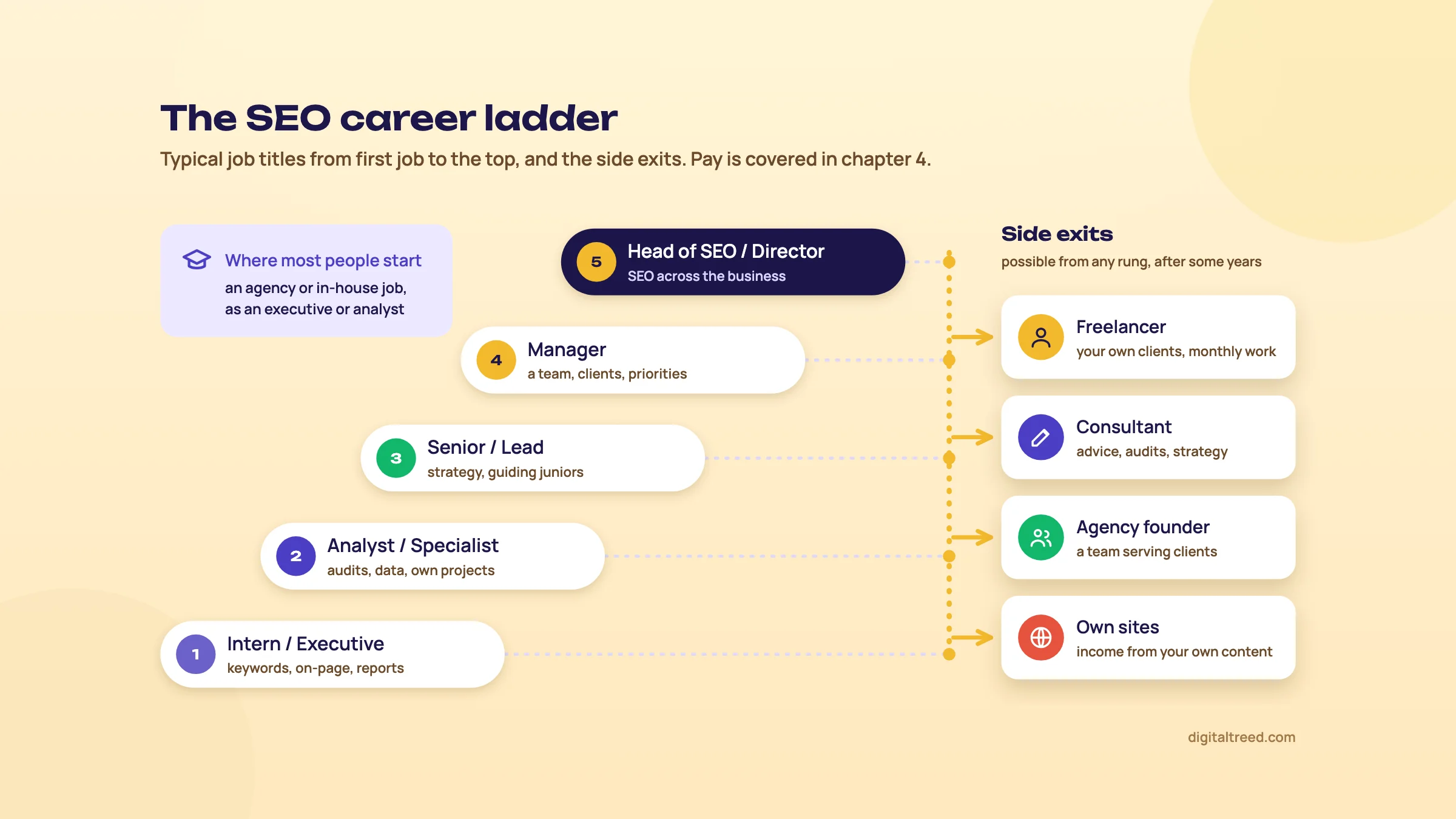 Career ladder: intern or executive, analyst or specialist, senior or lead, manager, head of SEO or director, with side exits to freelancer, consultant, agency founder and own sites.