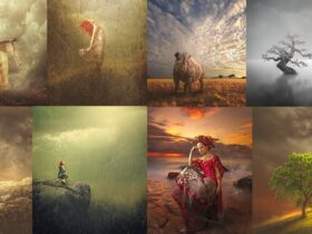A collage of 9 surreal art pieces features various scenes: a cloaked figure holding a staff, a person with a bird mask, a rhinoceros in a savanna, a tree in foggy water, two cloaked figures, a small figure on a rock, a woman in a gown, and two landscapes with trees.