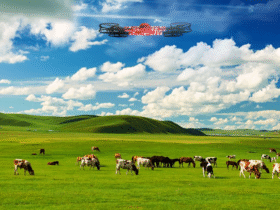 Drones and Farming: The Impact of Climate Change and the Role of Drones in Sustainable Agriculture and Livestock