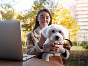 front view woman holding cute dog