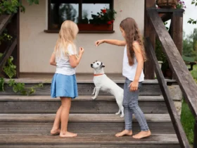 Start your Teen Pet Sitting Business: A Step-by-Step Guide