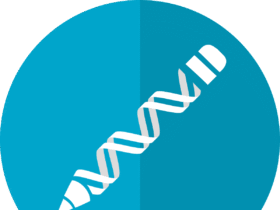 gene editing, crispr, dna editing