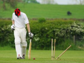 cricket, stumps, ball