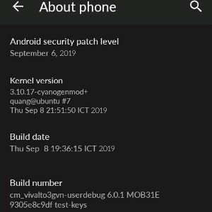 Scroll down to the "Build number" heading
