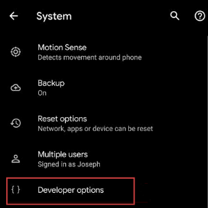 Tap "Developer Options"