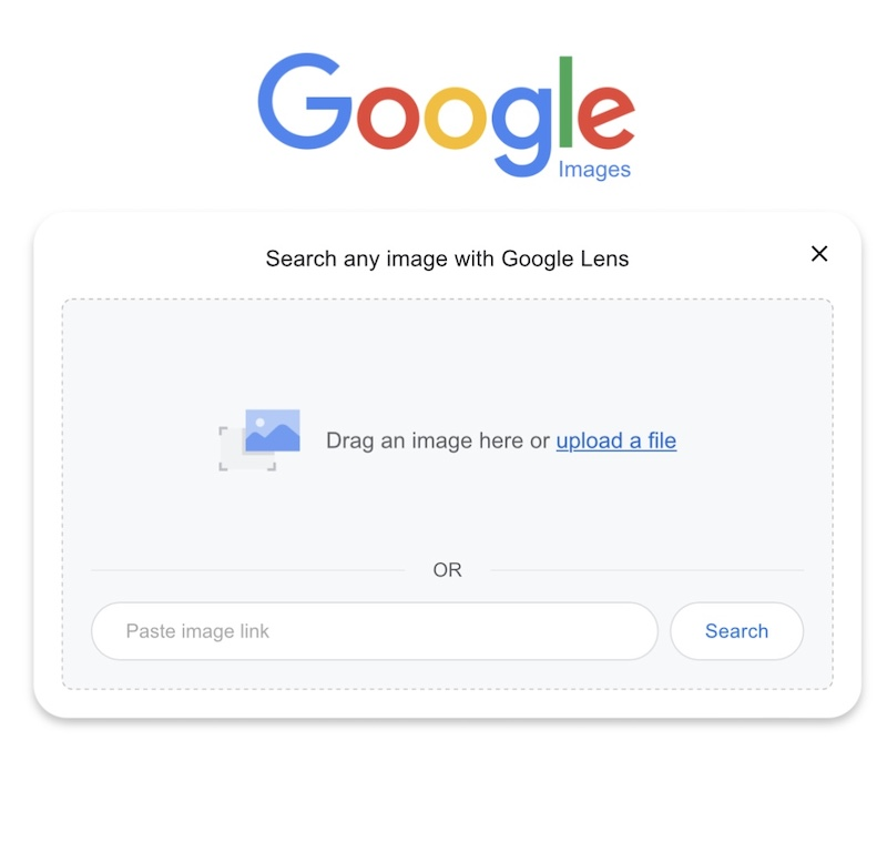 Upload an image to Google Lens.