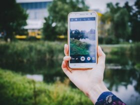 person holding smartphone and capturing trees