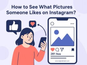 A 2D digital infographic illustrates how to see what pictures someone likes on Instagram, featuring icons of posts, hearts, magnifying glasses, and simplified app interface elements in a clean, flat-style layout.