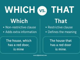 A 2D infographic-style digital illustration comparing "Which" vs. "That" in grammar usage. It features minimal text, symbolic icons, and arrows to visually explain the difference between defining and non-defining clauses. The design is colorful and educational